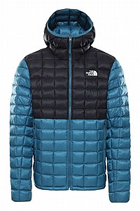����  THE NORTH FACE ������ 