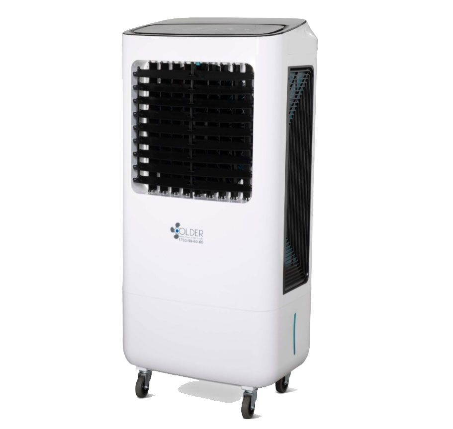 ����� ����