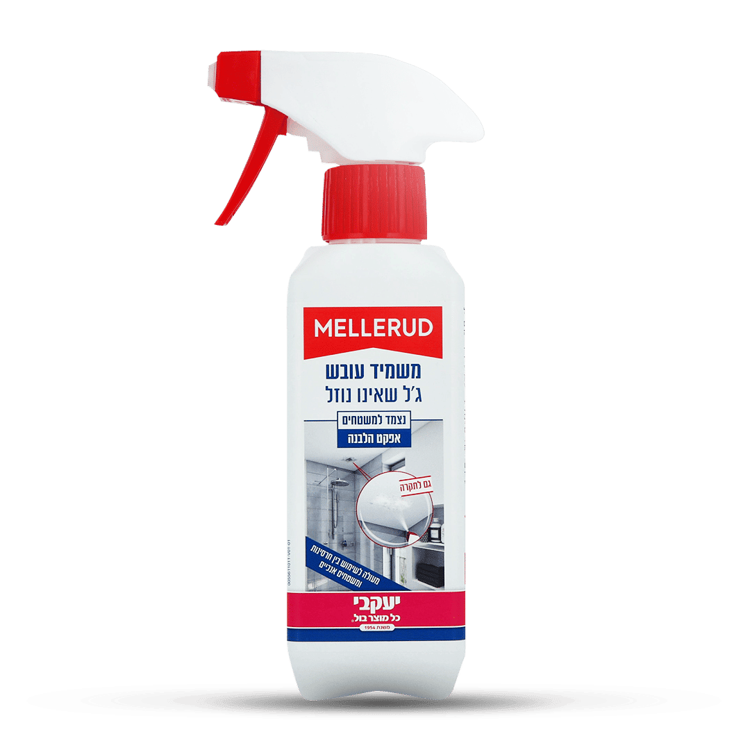 ����� ����