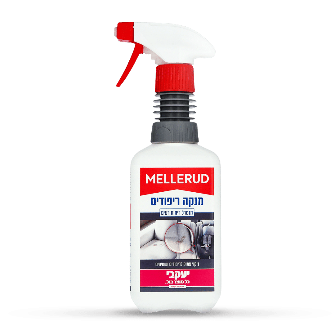 ����� ������ ��������