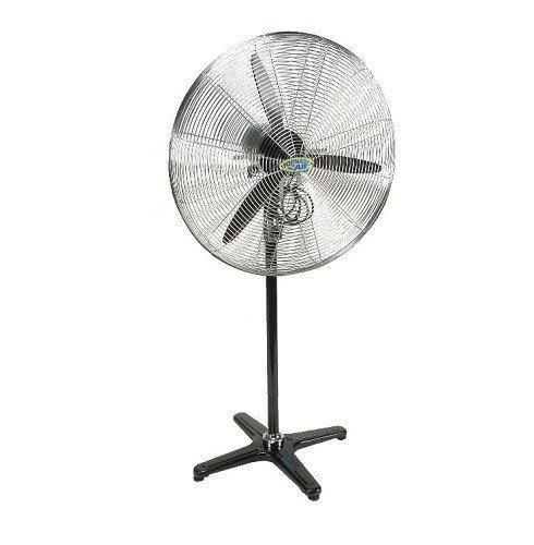 �������� �����