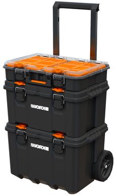 ����� ���� ���������